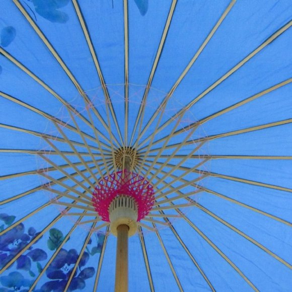 Blue Umbrella - Picture 4 of 5